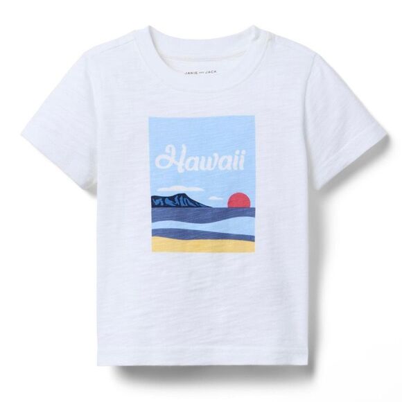Janie and Jack Other - Janie & Jack, Hawaii Screenprint Soft 100% Cotton T-shirt Summer 25, Youth 7